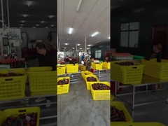 Поток полиэстера шить