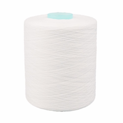 Yizheng Fiber Material 302 402 502 Spun Polyester Yarn производитель швейной нити в Китае
